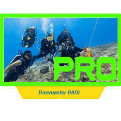 divemaster PADI